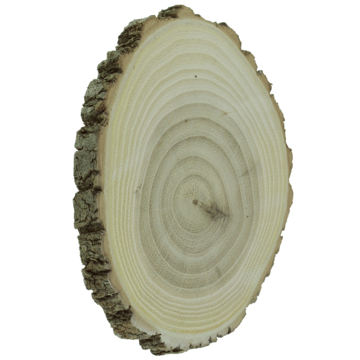 Felie lemn salcam rotund oval 8x1cm