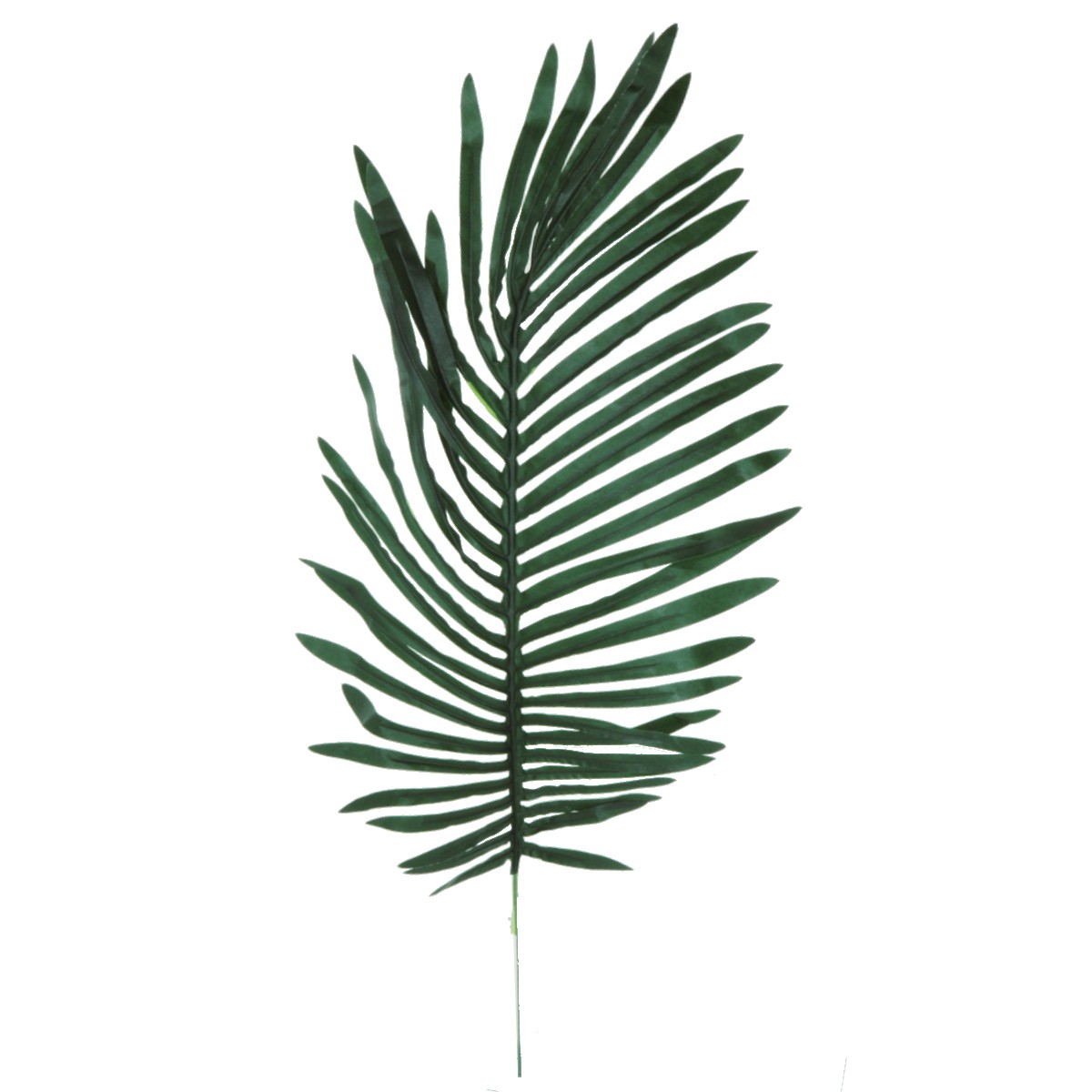 Frunza palmier 70cm