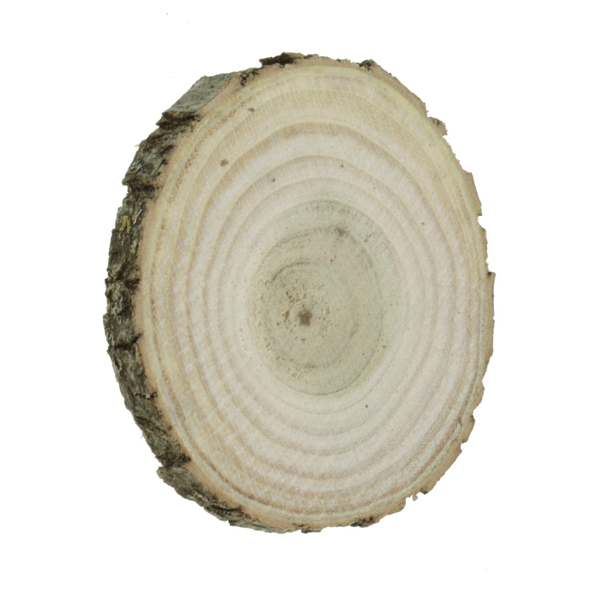 Felie lemn salcam rotund oval 6-8x1cm