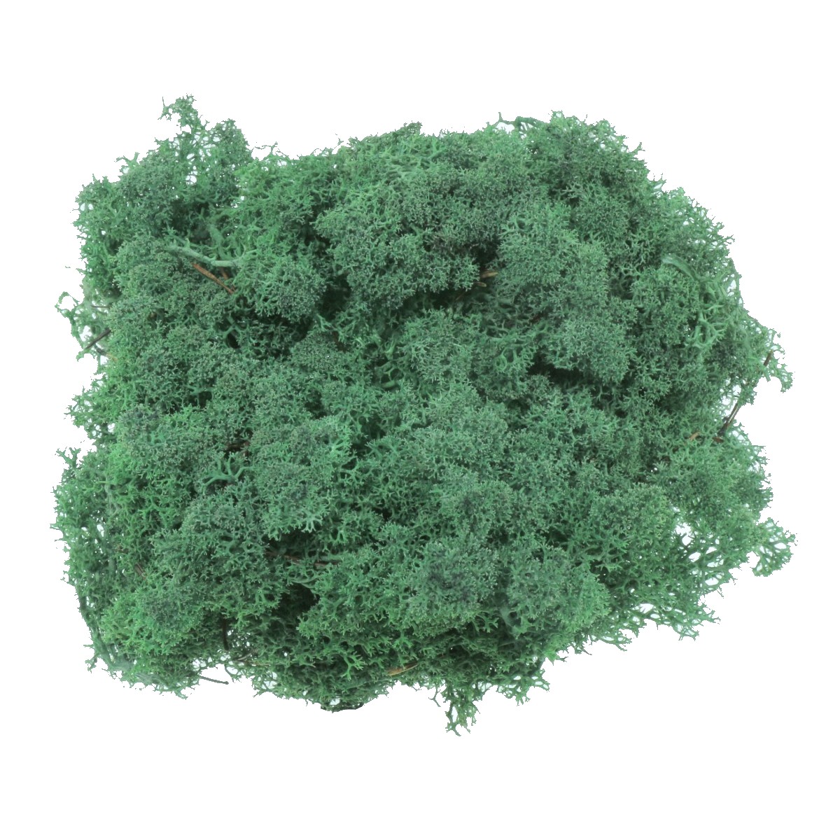 Licheni stabilizati verde pacific 500g 67718N Deco