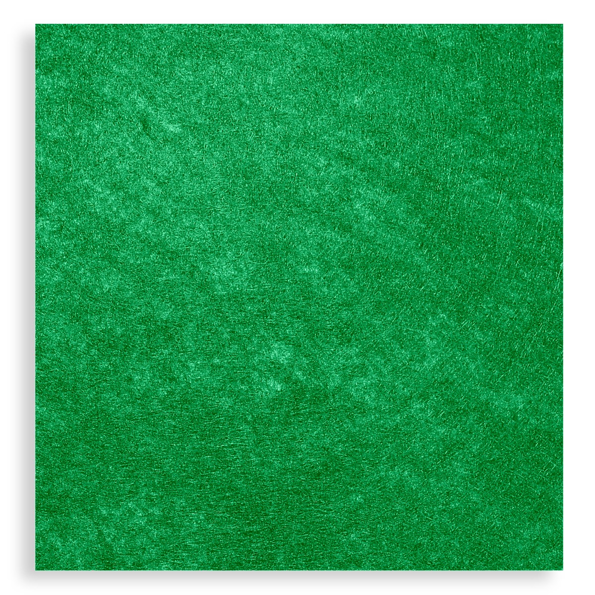 Pasla tare verde 49 5x50cm x 2mm