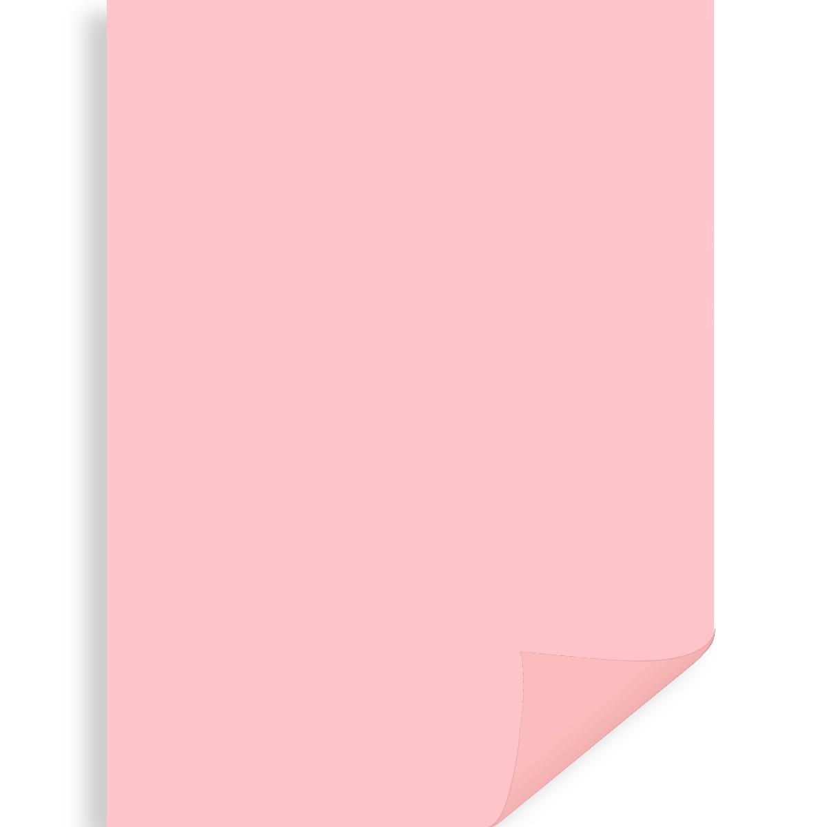 Carton roz 50x70cm 300g Meyco 27307