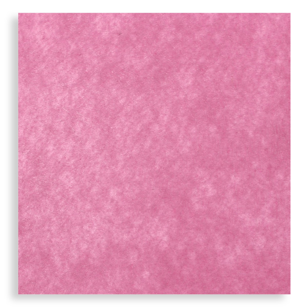 Pasla tare roz 49 5x50cm x 2mm